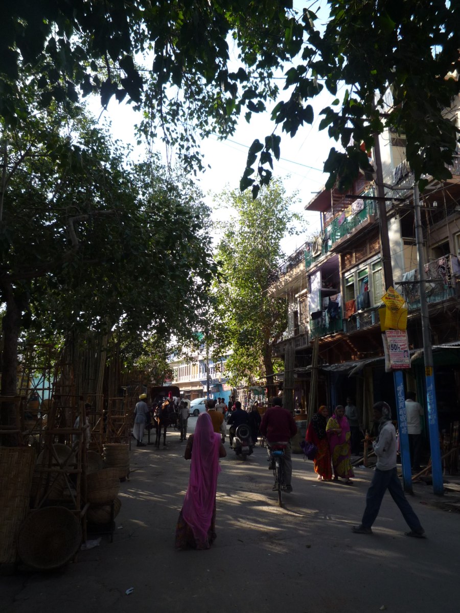 Jodhpur old town13